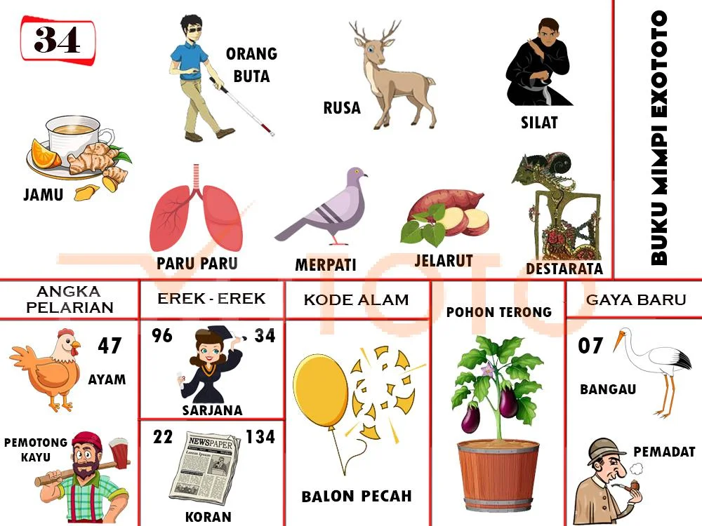 buku mimpi erek erek togel 34